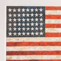 Flag, Jasper Johns,  MoMA. USA.